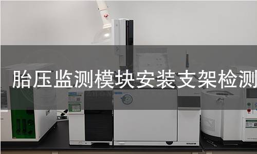 胎压监测模块安装支架检测