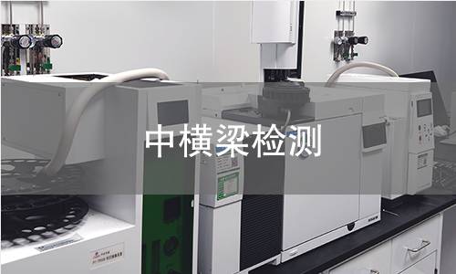中横梁检测