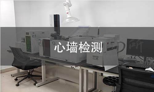 心墙检测