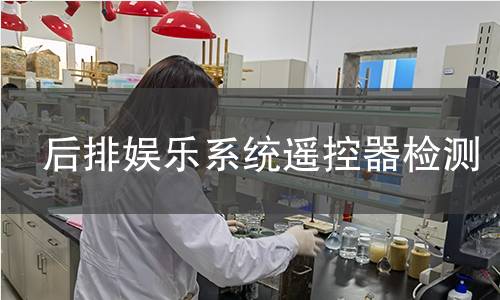 后排娱乐系统遥控器检测