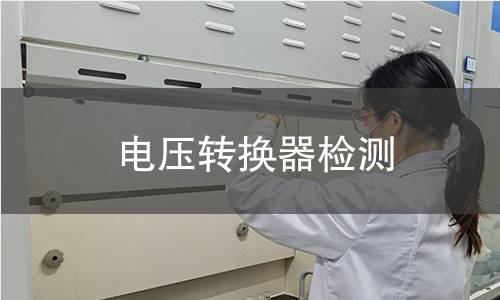 电压转换器检测