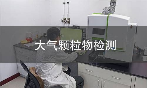 大气颗粒物检测 大气颗粒物检测