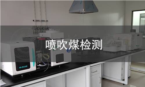 喷吹煤检测