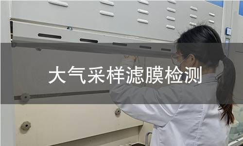大气采样滤膜检测 大气采样滤膜检测