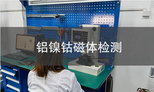 铝镍钴磁体检测 铝镍钴磁体检测