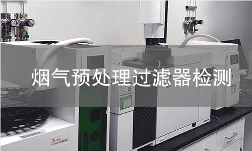 烟气预处理过滤器检测