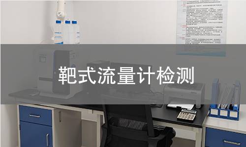 靶式流量计检测