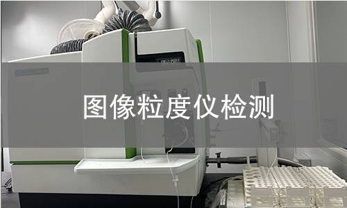 图像粒度仪检测