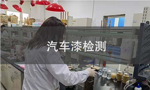 汽车漆检测 汽车漆检测