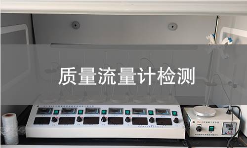 质量流量计检测