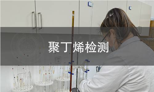 聚丁烯检测
