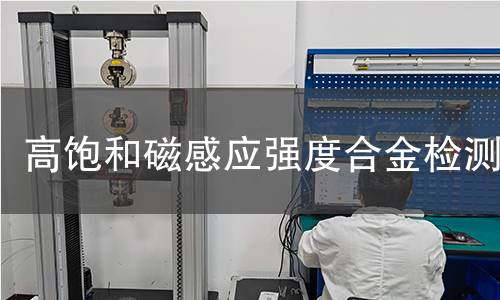 高饱和磁感应强度合金检测