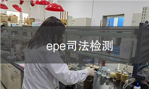 epe司法检测