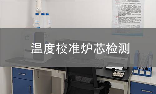 温度校准炉芯检测