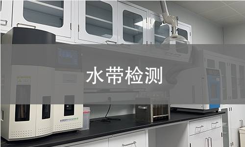水带检测 水带检测