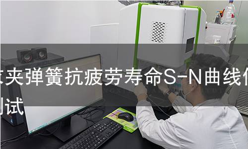 晾衣夹弹簧抗疲劳寿命S-N曲线伺服测试 晾衣夹弹簧抗疲劳寿命S-N曲线伺服测试