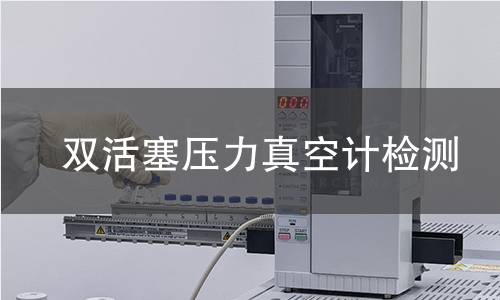 双活塞压力真空计检测