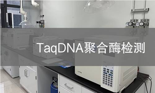TaqDNA聚合酶检测 TaqDNA聚合酶检测