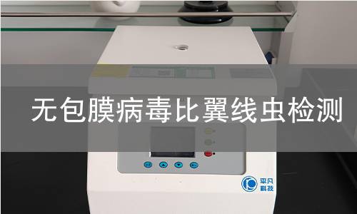 无包膜病毒比翼线虫检测