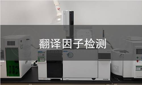 翻译因子检测 翻译因子检测
