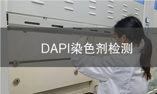 DAPI染色剂检测 DAPI染色剂检测