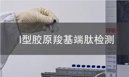 I型胶原羧基端肽检测 I型胶原羧基端肽检测