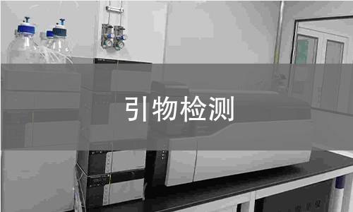 引物检测