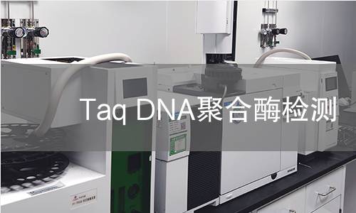 Taq DNA聚合酶检测 Taq DNA聚合酶检测