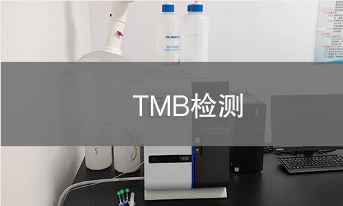 TMB检测 TMB检测