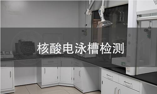 核酸电泳槽检测 核酸电泳槽检测