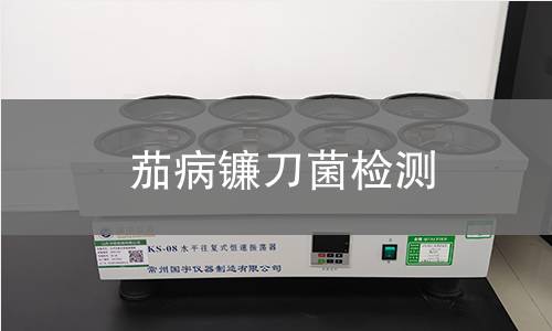 茄病镰刀菌检测