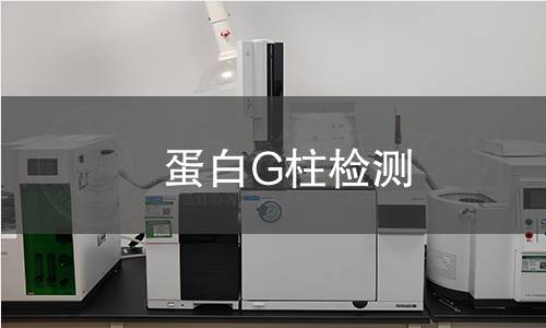 蛋白G柱检测 蛋白G柱检测