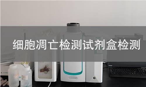 细胞凋亡检测试剂盒检测