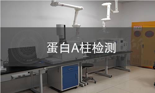 蛋白A柱检测