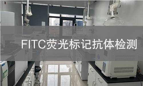 FITC荧光标记抗体检测 FITC荧光标记抗体检测