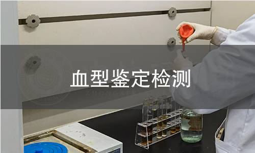 血型鉴定检测