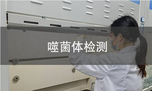 噬菌体检测 噬菌体检测