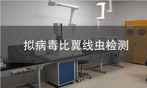拟病毒比翼线虫检测