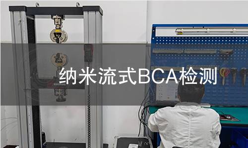 纳米流式BCA检测