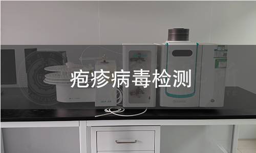 疱疹病毒检测 疱疹病毒检测