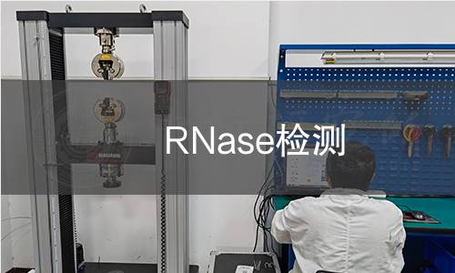 RNase检测 RNase检测