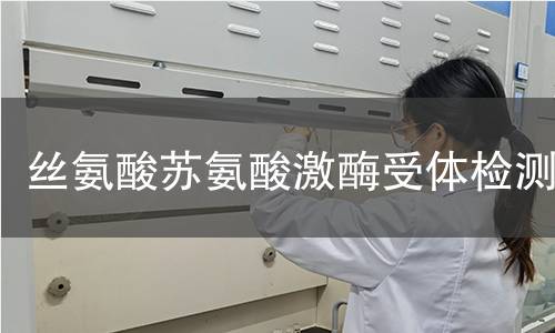 丝氨酸苏氨酸激酶受体检测 丝氨酸苏氨酸激酶受体检测