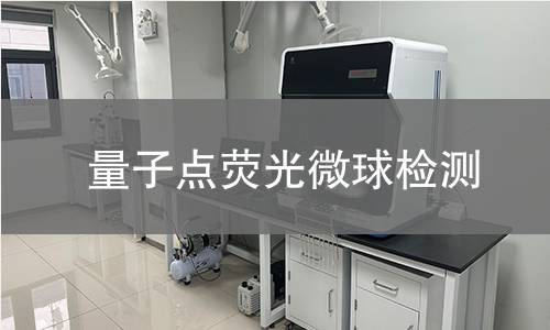 量子点荧光微球检测