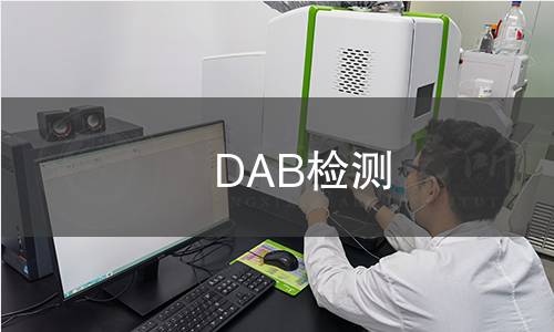 DAB检测 DAB检测