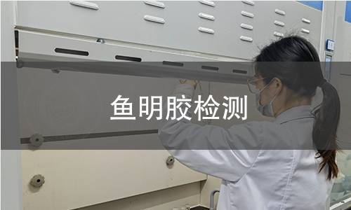 鱼明胶检测