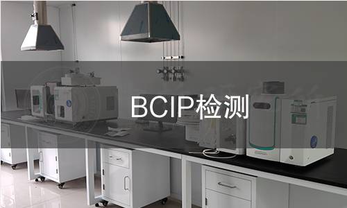 BCIP检测 BCIP检测