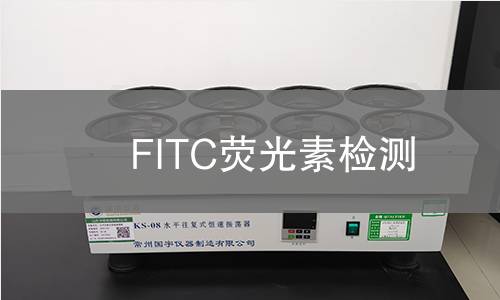 FITC荧光素检测 FITC荧光素检测