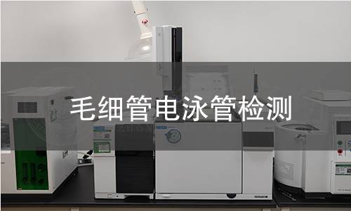 毛细管电泳管检测