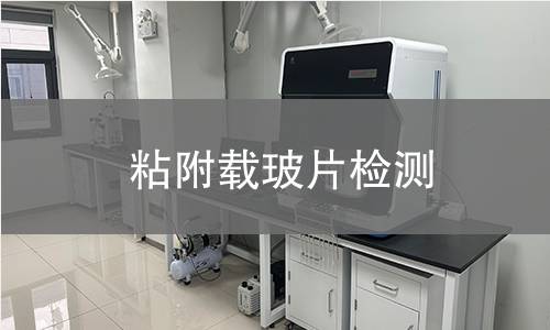 粘附载玻片检测