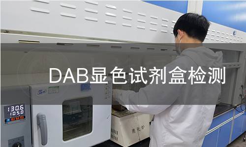 DAB显色试剂盒检测 DAB显色试剂盒检测
